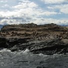 Islas de los Lobos